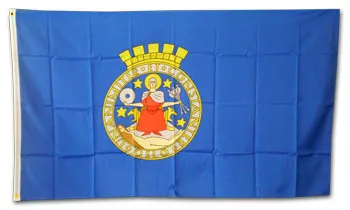 Oslo - 3'X5' Polyester Flag - Lightweight Polyester, 3' x 5', Without Fringe, Grommets