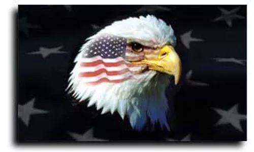USA Patriotic Eagle - 3'x5' Nylon Flag - Nylon, 3' x 5', Without Fringe, Grommets