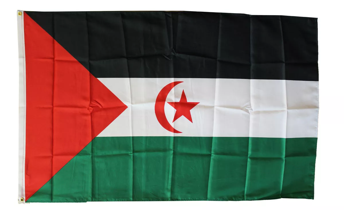 Western Sahara - 3'X5' Polyester Flag - Lightweight Polyester, 3' x 5', Without Fringe, Grommets