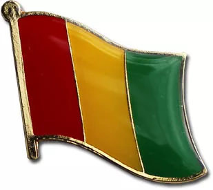 Guinea Flag Lapel Pin