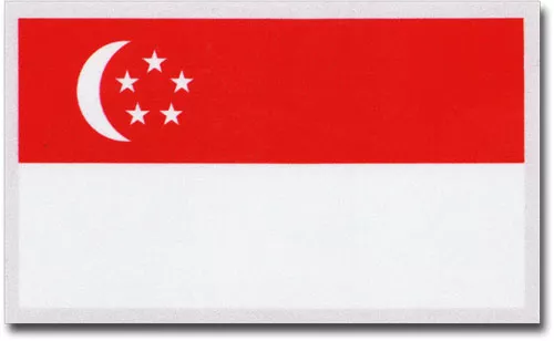 Singapore Auto Decal