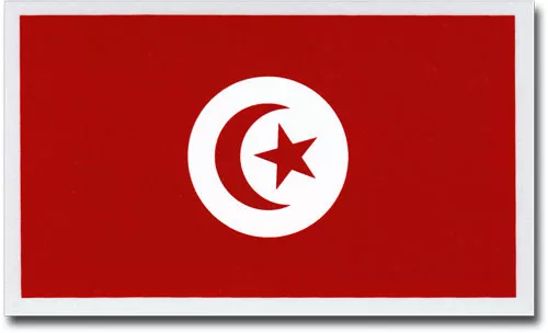 Tunisia Auto Decal