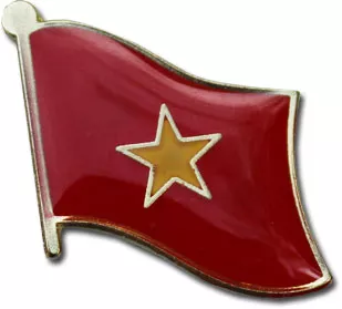 Vietnam Flag Lapel Pin