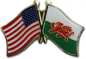 Wales Friendship Pin