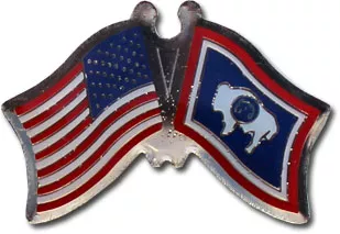 Wyoming Friendship Pin