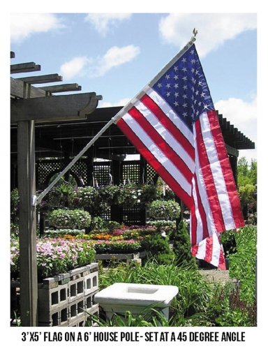 flags on houses