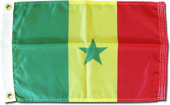 Buy Senegal 12x18 Nylon Flag Flagline