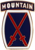10th Mountain Division Flag Lapel Pin