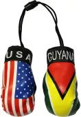 USA and Guyana Novelty Mini Boxing Gloves